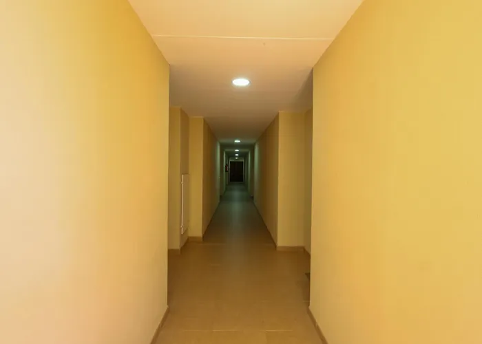 Sunset Mocan 팔름-마르